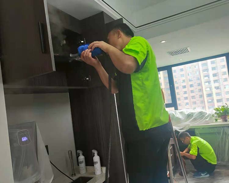 中車（chē）國際二期甲（jiǎ）醛治理