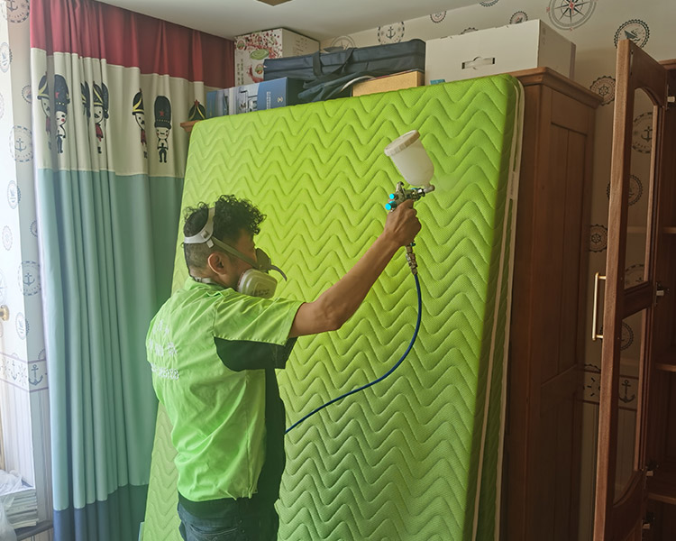 濱河果嶺甲醛治（zhì）理