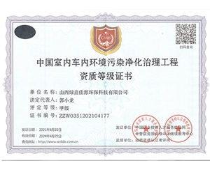 治理（lǐ）資質