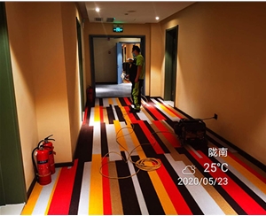 甲醛治（zhì）理——甘肅隴南宜必思酒店