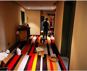 甲（jiǎ）醛治理——甘肅隴南（nán）宜必思酒店