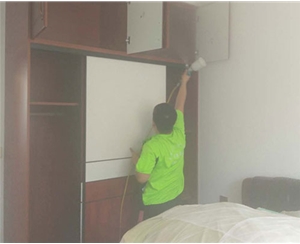 龍城半島（dǎo）