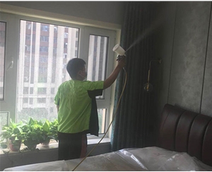 陽光（guāng）攬勝甲醛治理