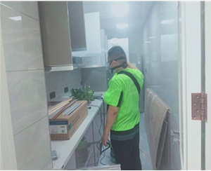 陽光攬勝甲醛治理（lǐ）